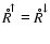 ${\stackrel{\hspace{0.5ex}_{\circ}}{R}\hspace{-0.2ex}}^{\uparrow}={\stackrel{\hspace{0.5ex}_{\circ}}{R}\hspace{-0.2ex}}^{\downarrow}$