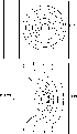 \begin{figure}
\par\hspace*{-1.2cm} \includegraphics[width=7cm,clip]{4806fig_6a.eps}\vspace*{2mm}
\includegraphics[width=6cm,clip]{4806fig_6b.eps}\end{figure}