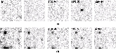 \begin{figure}
\par\subfigure[]{\includegraphics[width=14.5cm]{4872fi1a.ps} }
\subfigure[]{\includegraphics[width=14.5cm]{4872fi1b.ps} }\end{figure}