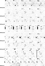 \begin{figure}
\par {\hbox{
FDFLAE-01
\hspace*{0cm}
\psfig{figure=4872f9aa.ps,wi...
...
\psfig{figure=4872f9he.ps,width=2.8cm,height=2.8cm,clip=t} }}
\par
\end{figure}