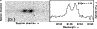 \begin{figure}
\par\includegraphics[width=8.5cm, clip]{4882fg11.eps}
\end{figure}