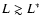 $L \gtrsim L^*$