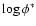 $\log \phi^*$