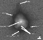 \begin{figure}
\par\includegraphics[width=7.5cm]{4585fg2.eps}
\end{figure}