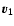 $\vec{v_1}$