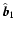 $\hat{\vec{b}}_{1}$