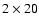 $2 \times 20$