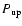 $P_{\rm up}$