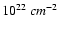 $10^{22}\ cm^{-2}$