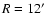 $R=12\hbox{$^\prime$ }$