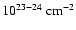 $10^{23-24}~{\rm cm}^{-2}$