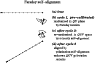 \begin{figure}
\par\includegraphics[width=8.3cm,clip]{5145pvCh.eps}
\end{figure}