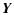 $\displaystyle \vec{Y}$