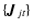$\{\vec{J}_{jt}\}$