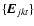 $\{\vec{E}_{jkt}\}$
