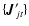 $\{\vec{J}'_{jt}\}$