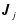 $\vec{J}_{j \rule{0pt}{1.5ex}}$