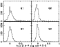 \begin{figure}
\par\includegraphics[angle=270,width=7.5cm,clip]{3384fig3.eps}\end{figure}
