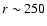 $ r \sim 250$