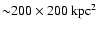 ${\sim} 200 \times 200 ~ {\rm kpc}^2$