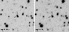 \begin{figure}
\par\includegraphics[width=8.5cm,clip]{5283Fig4.ps}\end{figure}