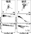 \begin{figure}
\par\includegraphics[width=8.8cm]{hk215_fig3}
\end{figure}