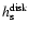 $h^{\rm disk}_{\rm s}$