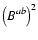 $\left(B^{ab}\right)^2$