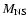 $M_{\rm NS}$