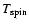 $T_{\rm spin}$