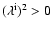 $(\lambda^{\rm i})^2 > 0$