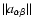 $\Vert a_{\alpha\beta}
\Vert$