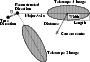 \begin{figure}
\par\includegraphics[width=7.9cm,clip]{5351f5.eps} \end{figure}
