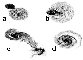 \begin{figure}
\par\includegraphics[width=7.6cm,clip]{4976fig6.eps}\end{figure}