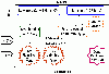 \begin{figure}
\par\includegraphics[angle=-90,width=8.8cm,clip]{5374fig4.eps}
\end{figure}