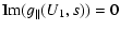 $\displaystyle {\rm Im} (g_{\parallel}(U_{1},s))=0$
