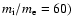 $m_{\rm i}/m_{\rm e}=60)$