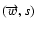 $(\overrightarrow{w},s)$