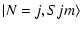 $\displaystyle \vert N=j,Sjm\rangle$