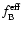 $f_{\rm B}^{\rm eff}$