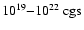 $10^{19}{-}10^{22}~\mbox{cgs}$