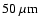 $50 ~\rm\mu m$