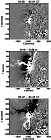 \begin{figure}
\par\includegraphics[width=4.5cm,clip]{5687fig1a.eps}\par\vspace*...
...\par\vspace*{2mm}
\includegraphics[width=4.5cm,clip]{5687fig1c.eps}
\end{figure}