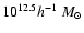 $10^{12.5} h^{-1}~M_{\odot}$