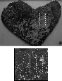 \begin{figure}
\par\includegraphics[width=7.7cm,clip]{5606fig4.eps}
\end{figure}