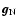 $\vec{g}_{\rm N}$