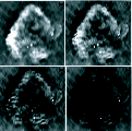 \begin{figure}
\par\includegraphics[width=10.5cm,clip]{Figures6.eps}
\end{figure}