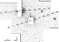 \begin{figure}
\par\includegraphics[width=17cm,clip]{5966fig4.eps}
\end{figure}