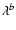 $\lambda^b$