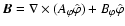 $\vec{B}= \nabla \times (A_{\varphi} \hat\varphi)+ B_\varphi\hat\varphi$